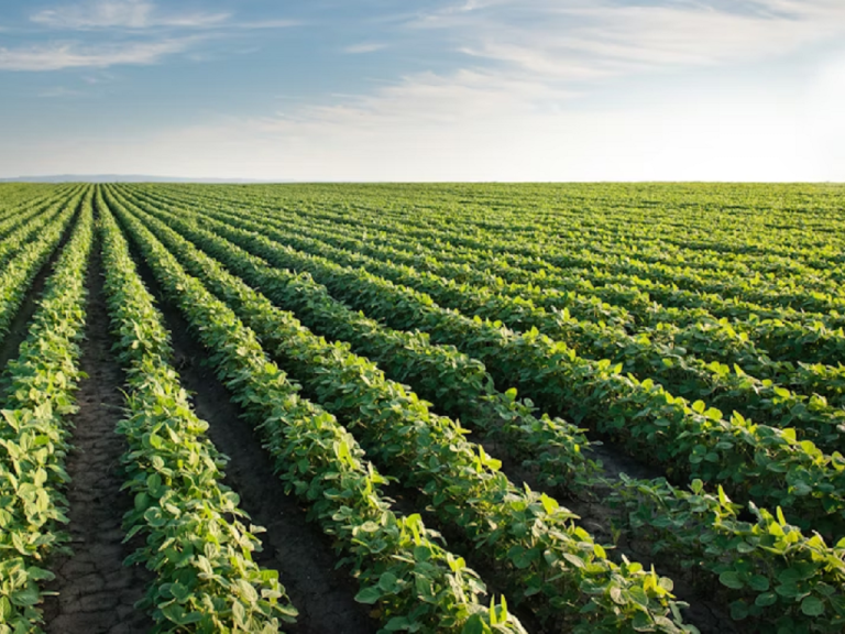 venta de finca en Pacho